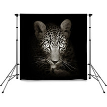 Leopard Portrait In Toned B&w Backdrops 59211871