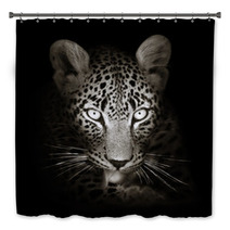 Leopard Portrait In Toned B&w Bath Decor 59211871