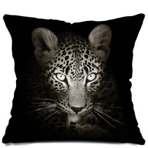 Leopard Portrait In Toned B&w Pillows 59211871