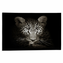 Leopard Portrait In Toned B&w Rugs 59211871