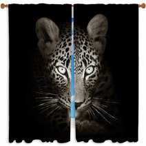 Leopard Portrait In Toned B&w Window Curtains 59211871