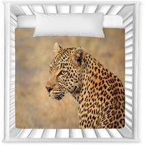 Leopard Portrait Nursery Decor 68010907