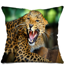 Leopard Portrait Pillows 43990990