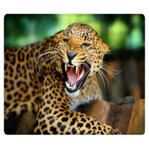 Leopard Portrait Rugs 43990990