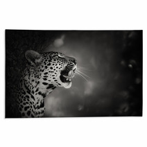 Leopard Portrait Rugs 52783556