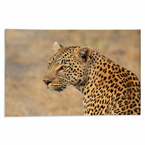Leopard Portrait Rugs 68010907