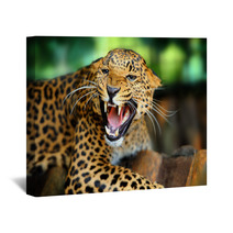 Leopard Portrait Wall Art 43990990