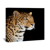 Leopard Portrait Wall Art 48880320