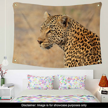 Leopard Portrait Wall Art 68010907