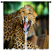 Leopard Portrait Window Curtains 43990990