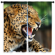 Leopard Portrait Window Curtains 43990993