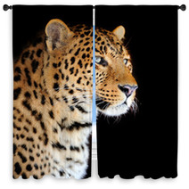 Leopard Portrait Window Curtains 48880320