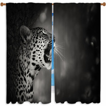 Leopard Portrait Window Curtains 52783556