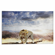 Leopard Rugs 17519088