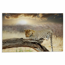 Leopard Rugs 41251852