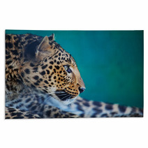 Leopard Rugs 42564894