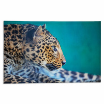 Leopard Rugs 51814911