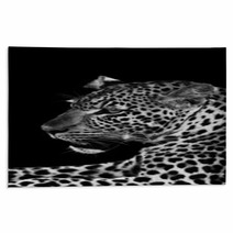 Leopard Rugs 52514649