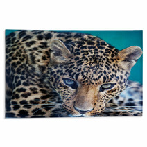 Leopard Rugs 62305034