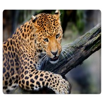 Leopard Rugs 66888479
