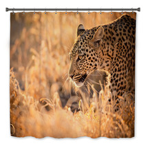 Leopard Walking At Sunset Bath Decor 61900640