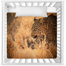 Leopard Walking At Sunset Nursery Decor 61900640