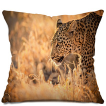 Leopard Walking At Sunset Pillows 61900640