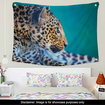 Leopard Wall Art 51814911