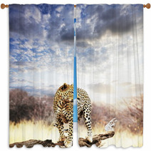 Leopard Window Curtains 17519088