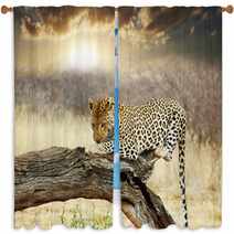 Leopard Window Curtains 41251852
