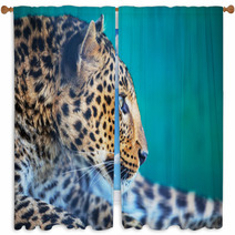 Leopard Window Curtains 51814911
