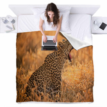 Leopard Yawning Blankets 61900016