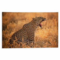 Leopard Yawning Rugs 61900016