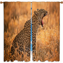 Leopard Yawning Window Curtains 61900016