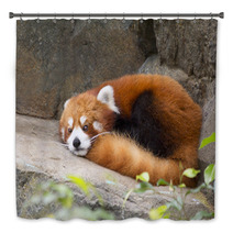 Lesser panda red panda Bath Decor 75783605