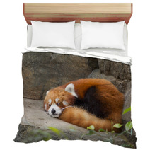 Lesser panda red panda Bedding 75783605