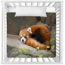 Lesser panda red panda Nursery Decor 75783605