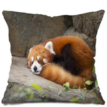 Lesser panda red panda Pillows 75783605