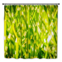 Light Version Close Up Background Texture Of Striped Grass Green And Yellow Grass As Background Bath Decor 194192846