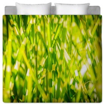 Light Version Close Up Background Texture Of Striped Grass Green And Yellow Grass As Background Bedding 194192846