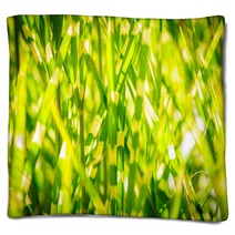 Light Version Close Up Background Texture Of Striped Grass Green And Yellow Grass As Background Blankets 194192846