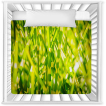Light Version Close Up Background Texture Of Striped Grass Green And Yellow Grass As Background Nursery Decor 194192846