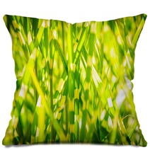 Light Version Close Up Background Texture Of Striped Grass Green And Yellow Grass As Background Pillows 194192846