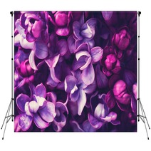 Lilac Flowers Background Backdrops 108289994