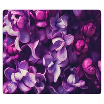 Lilac Flowers Background Rugs 108289994