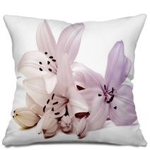 Lily Pillows 4030210