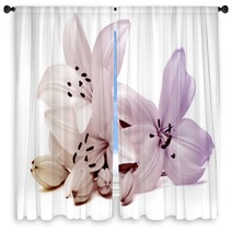 Lily Window Curtains 4030210