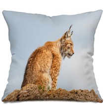 Lince Boreal. Lynx Lynx.
 Pillows 86196569