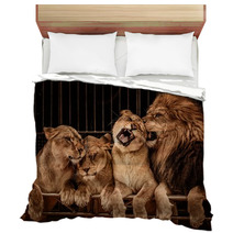 Lion And Three Lioness Bedding 49550667