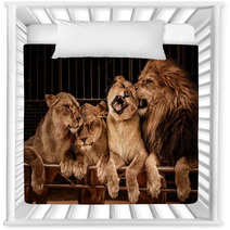 Lion And Three Lioness Nursery Decor 49550667